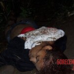 Renata Keli Pedreira dos Santos