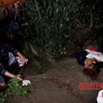 Renata Keli Pedreira dos Santos