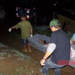 Renata Keli Pedreira dos Santos