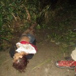 Renata Keli Pedreira dos Santos