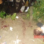 Renata Keli Pedreira dos Santos