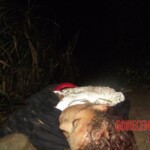 Renata Keli Pedreira dos Santos