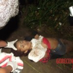 Renata Keli Pedreira dos Santos