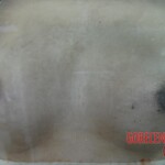 Breasts and vaginas in Chinese Forensic Museum