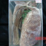 Breasts and vaginas in Chinese Forensic Museum