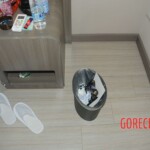 Chinese woman found dead in hotel room