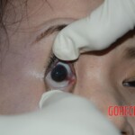 Chinese woman found dead in hotel room