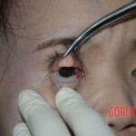 Chinese woman found dead in hotel room