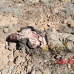 Dead ISIS terrorists in military operation in Puntland