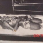 Dismembered Brazilian woman