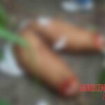 Dismembered woman found in thicket