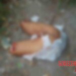 Dismembered woman found in thicket