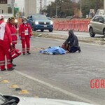 Dude attacks bus driver, gets run over