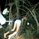 Filipina found drowned in mangroves