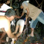 Filipina found drowned in mangroves