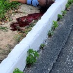 Guy shoots himself rather than get arrested