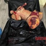 Yenny Carolina Pérez Canelón