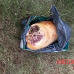 Human remains found in garbage bag