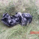 Human remains found in garbage bag