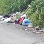 Fátima Altamirano Coca