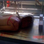 Murderer left knife stuck in his victim's neck