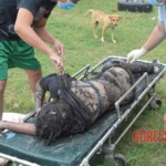 Mariah Aira Dalanon Poe