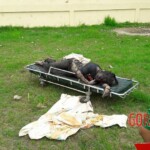 Mariah Aira Dalanon Poe