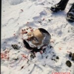 Romanian committed suicide by placing his head on tracks