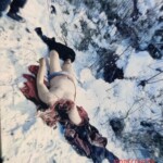 Romanian committed suicide by placing his head on tracks