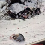 Romanian committed suicide by placing his head on tracks