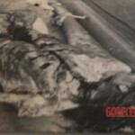 Skinned Brazilian woman in morgue