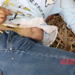 Teen Chinese girl found decomposing in woods