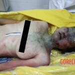 Teen Chinese girl found decomposing in woods