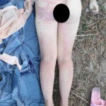 Teen Chinese girl found decomposing in woods