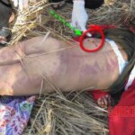 Thai woman found stabbed to death in rice field