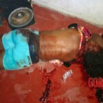 Priscila de Jesus Silva