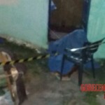 Priscila de Jesus Silva