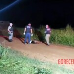 Sara dos Santos Silva