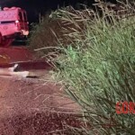 Sara dos Santos Silva