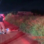 Sara dos Santos Silva