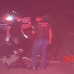 Sara dos Santos Silva