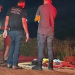 Sara dos Santos Silva