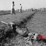 Bangladesh genocide