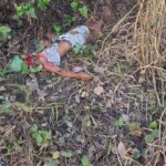 Brazilian biker decapitated after crashing into truck