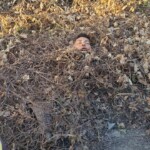 Brazilian biker decapitated after crashing into truck