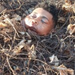 Brazilian biker decapitated after crashing into truck