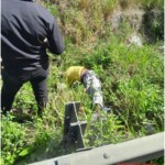 Decomposing corpse found dumped on roadside