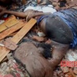 Easter bombings in Sri Lanka 2019