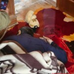 Entire Syrian family murdered by HTS