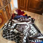 Entire Syrian family murdered by HTS